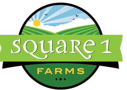 Square